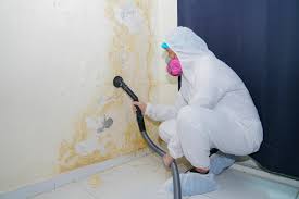 Best Forensic Mold Investigation  in Vancleave, MS